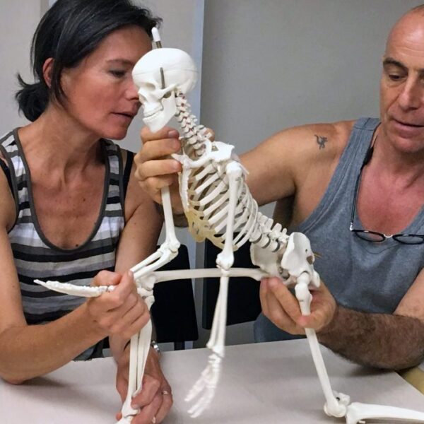 Ananta Sylvain Girard 主持的 AYM 大师班